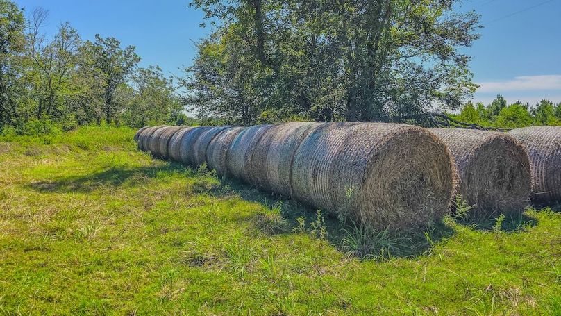 Copy of 20240909_113253