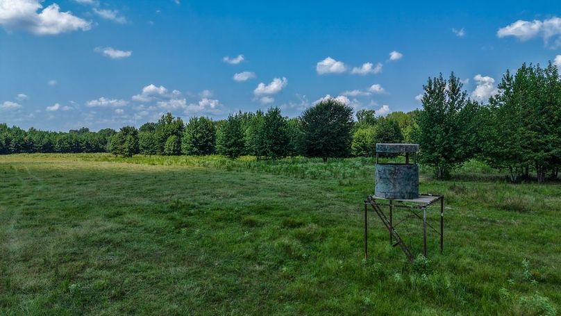 4 Jefferson 117ac - bethard-51