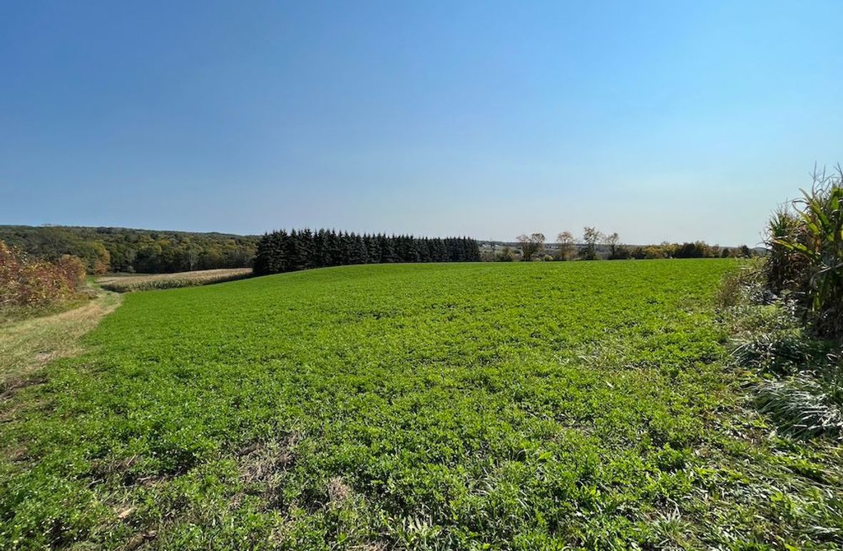 Yates_29_Stape Photo 4