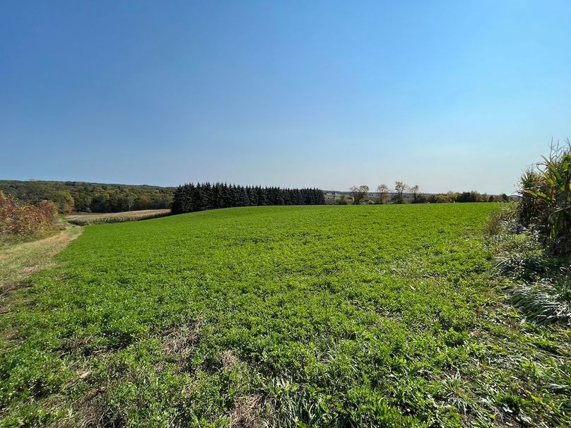 Yates_29_Stape Photo 4