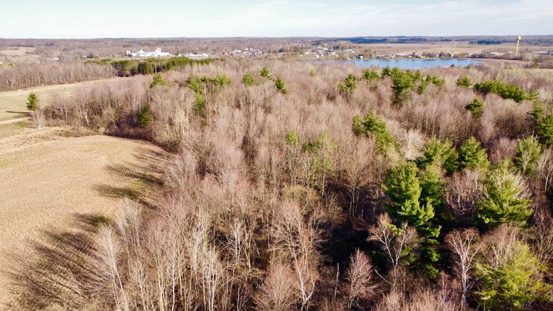 dji_fly_20230504_180236_679_1683241433272_photo_optimized