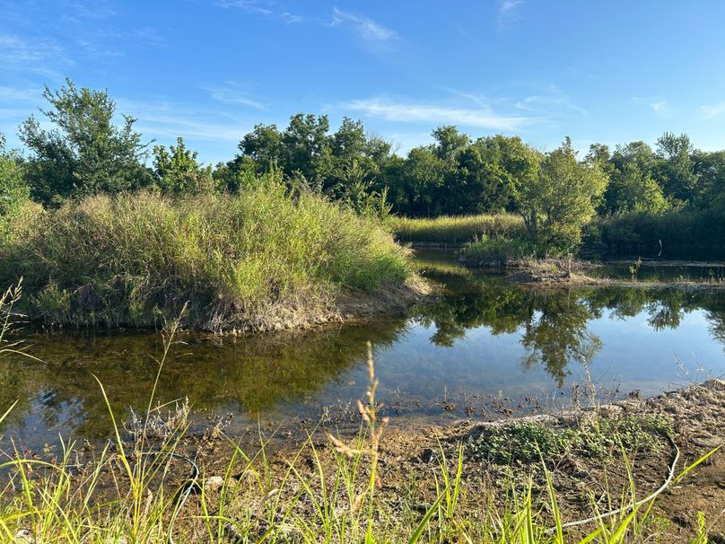 Fannin 37 Acres-09