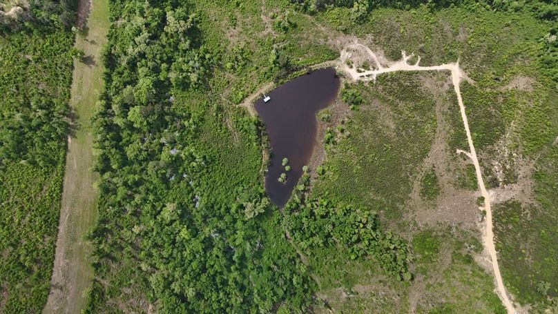 DJI_20260421003548_0235_D