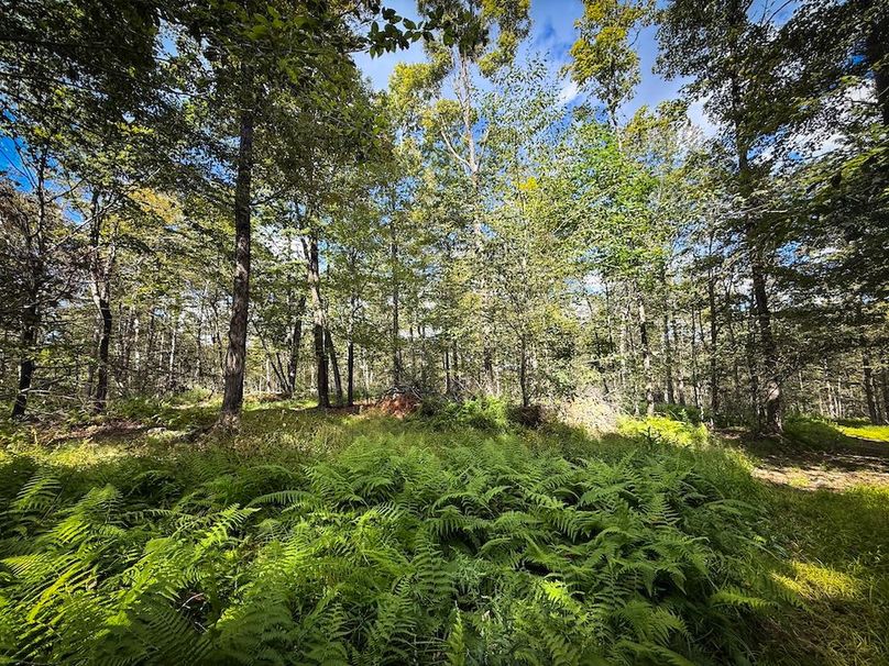 Tompkins_103.12_SusquehannaLandCo_Photos_16