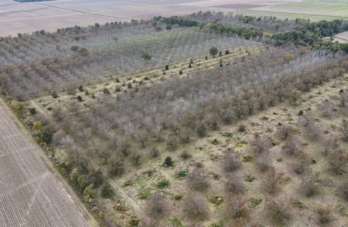 dji_fly_20251107_042956_0025_1762484054694_photo