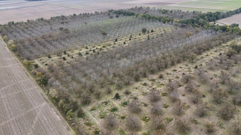 dji_fly_20251107_042956_0025_1762484054694_photo