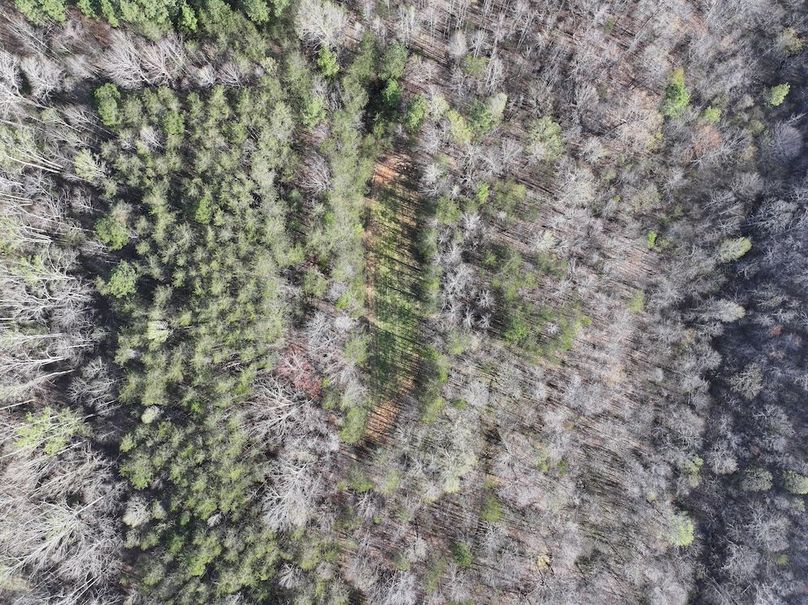 dji_fly_20260330_094318_0723_1774966027995_photo