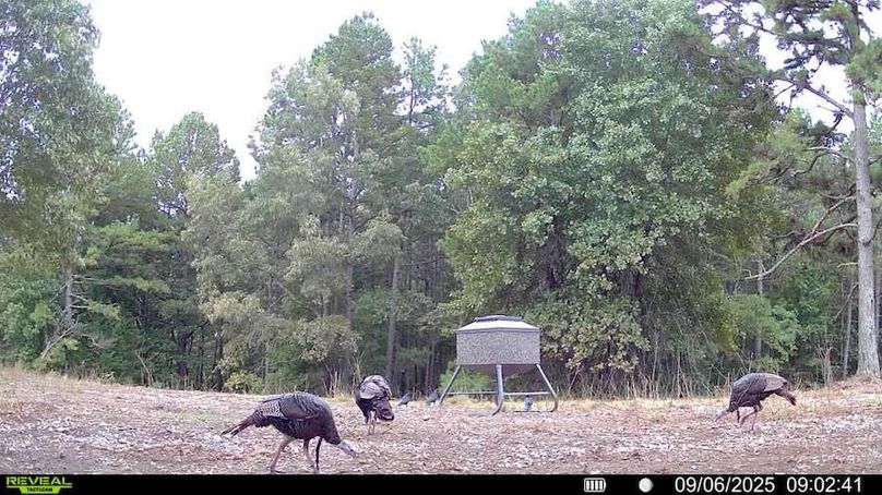 016578004181175-100-4-09062025090241-SYFW00042