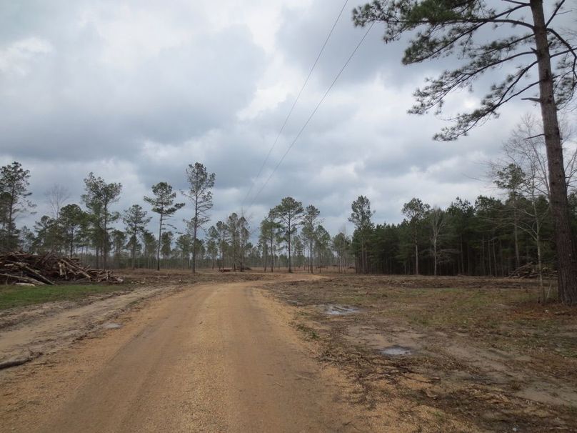 A59ADAA6-DEC8-45D2-AEE2-DC27BCC0153B_1_105_c