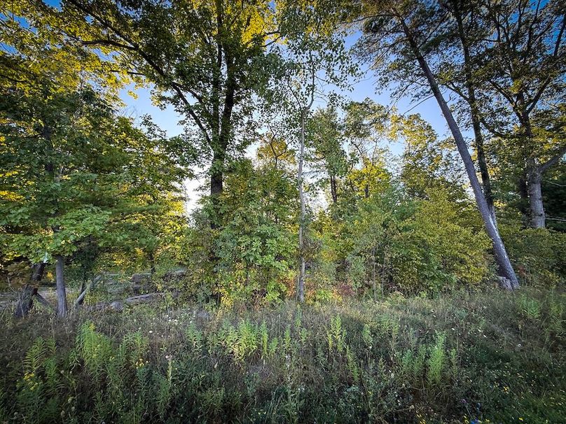 Copy of Wood Tract 1 Photo 6