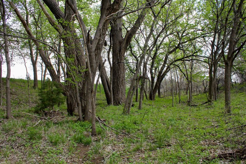 Republic, KS, 155.8_022