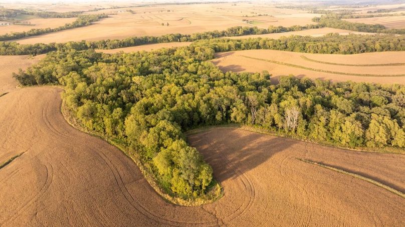 Copy of POTTAWATTAMIE CO IA 311 TRACT 3_37