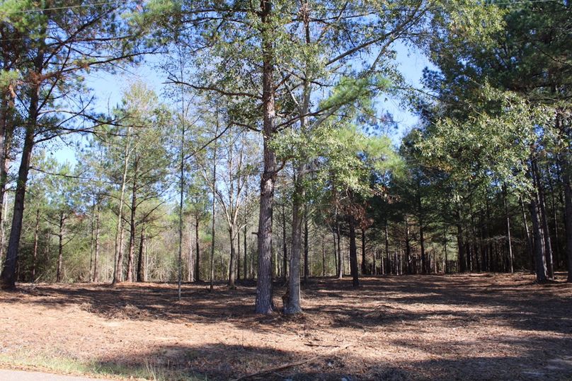 3D668C0F-8E54-46B6-934D-9A34DFF64CFE_1_105_c