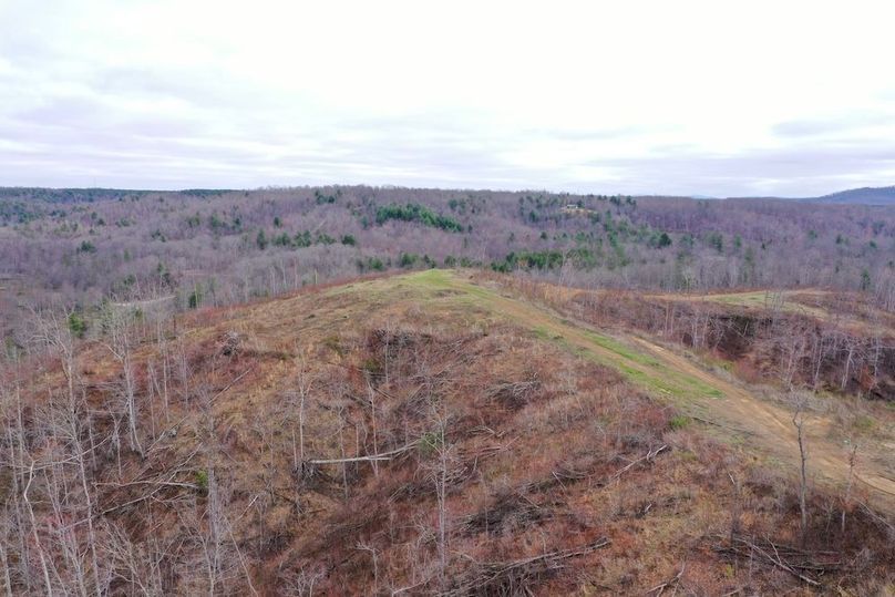 DJI_0448