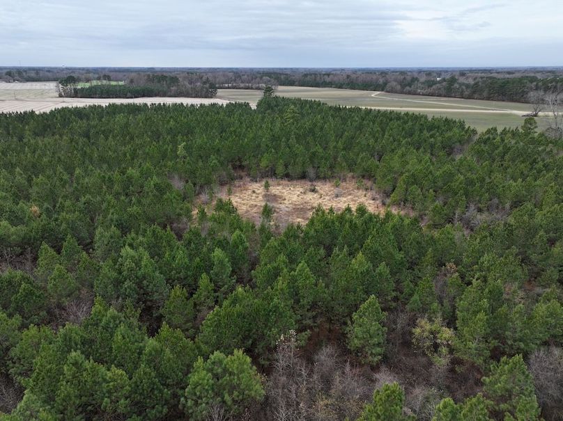 dji_fly_20251211_104420_0014_1766519227621_photo