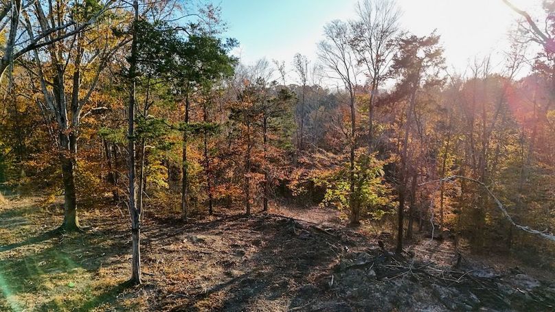 DJI_20251111155806_0073_D