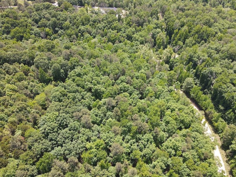 dji_fly_20260514_121450_811_1778778970560_photo