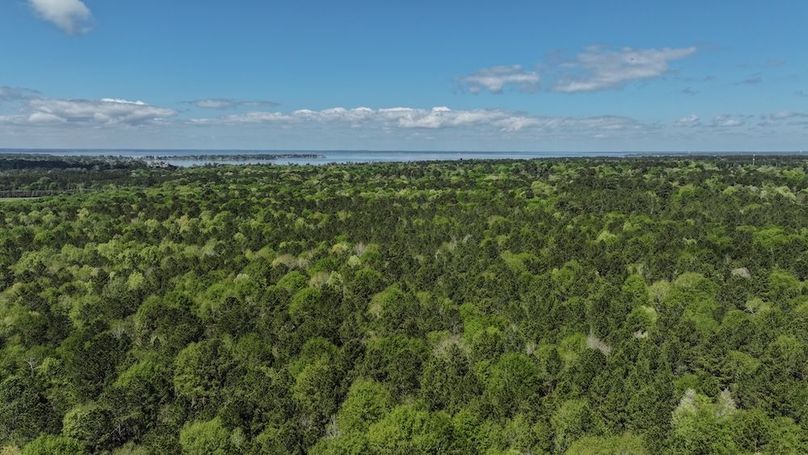 DJI_20260327115603_0038_D