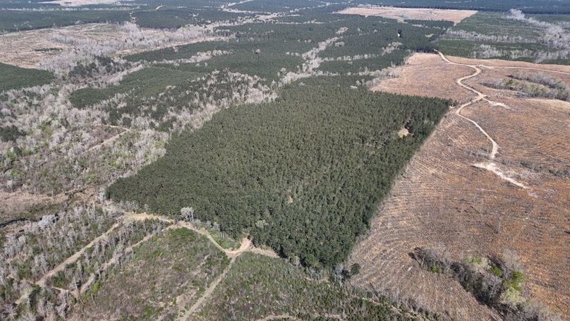 DJI_20260318002203_0128_D