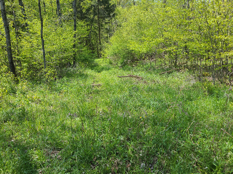 photo_9a34fa48-9fd9-480e-b738-81515f970d00