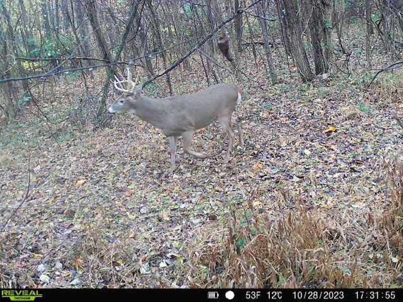 868032067996938-60-2-10282023173154-V-W1000977