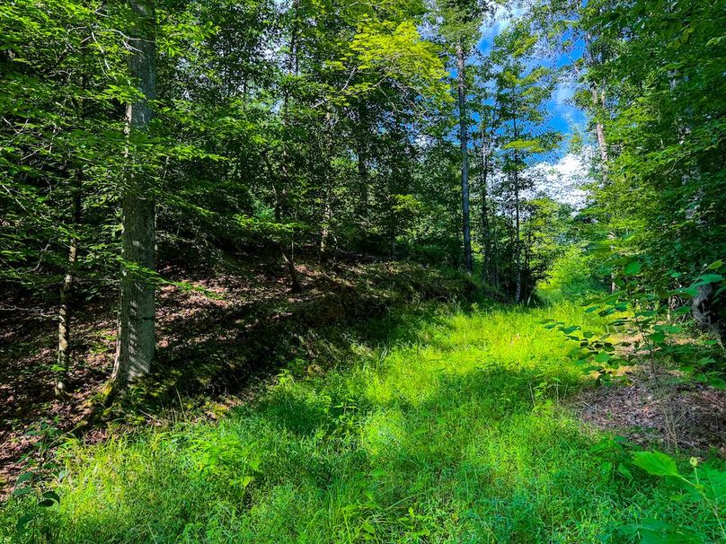 Lewis, WV 82.87 AC Barger-079