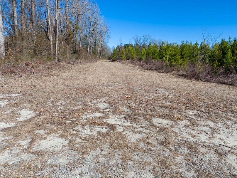 Pender NC 382 - Edits-24