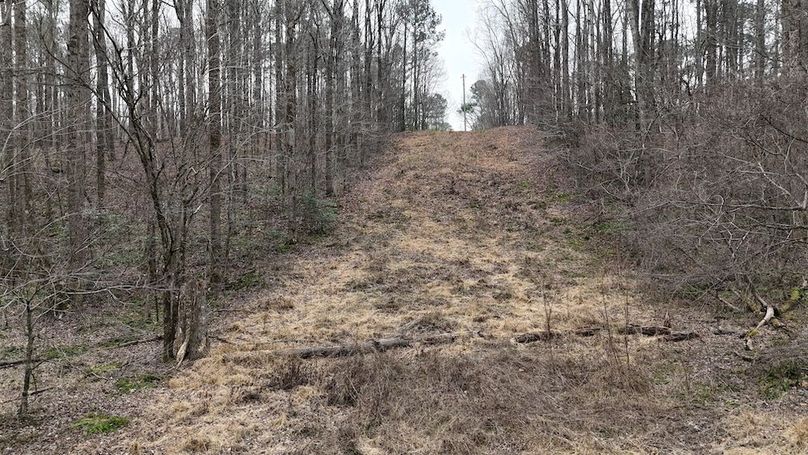 dji_fly_20260225_113642_0124_1772037652205_photo