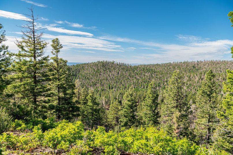 Copy of Los Alamos 508 6-24-3