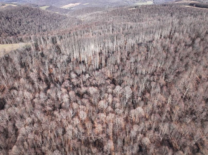 DJI_20241127034034_0779_D