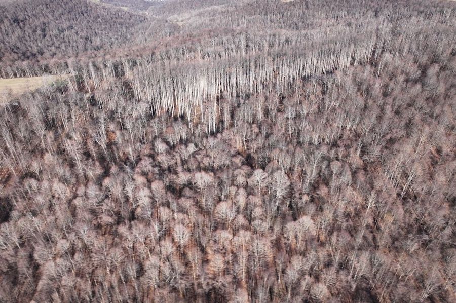 DJI_20241127034034_0779_D