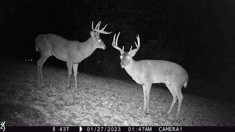27 Jan 2023_0147_dam food plot