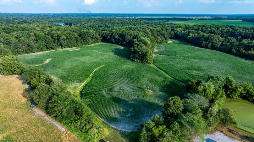 Copy of DJI_20250806051825_0012_D Large