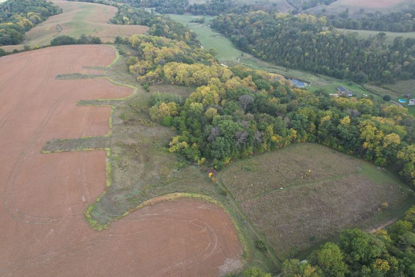 DJI_0968