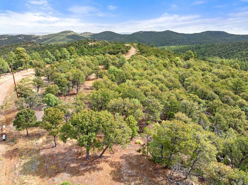 DJI_20250924104817_0108_D