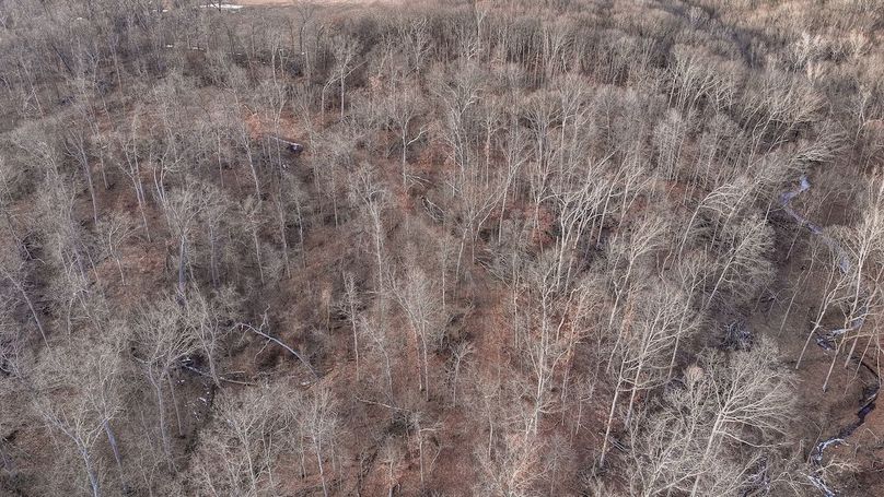 DJI_20260211162942_0014_D