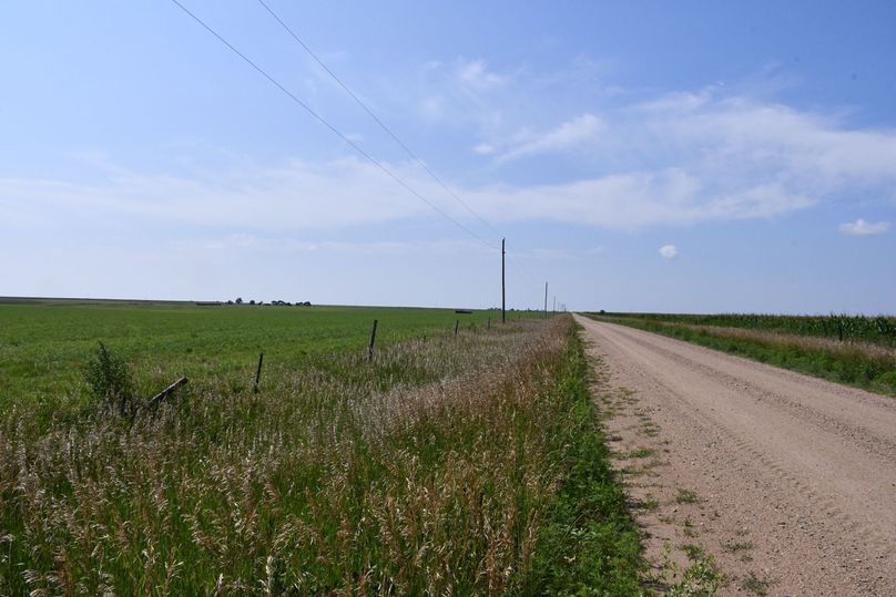 DSC_4609