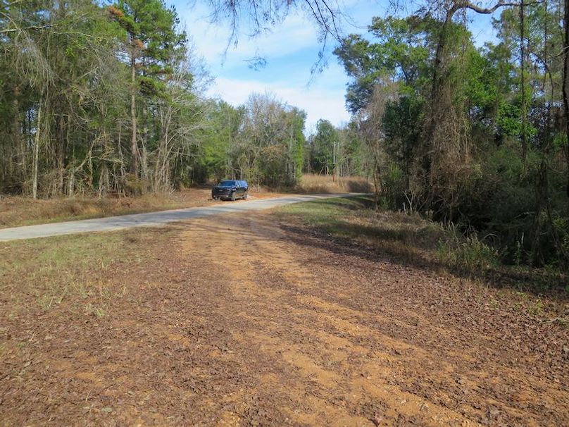 Lauderdale Co - 74 - Gillentine-25