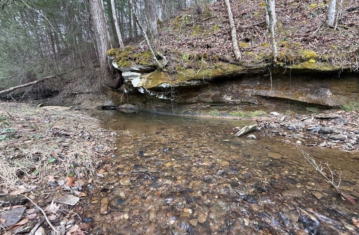 002 what a pretty blue line stream