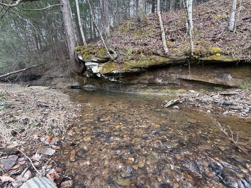 002 what a pretty blue line stream