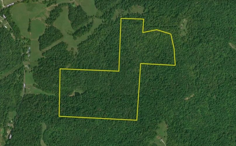 Screenshot 2025-09-15 at 1.09.09 PM