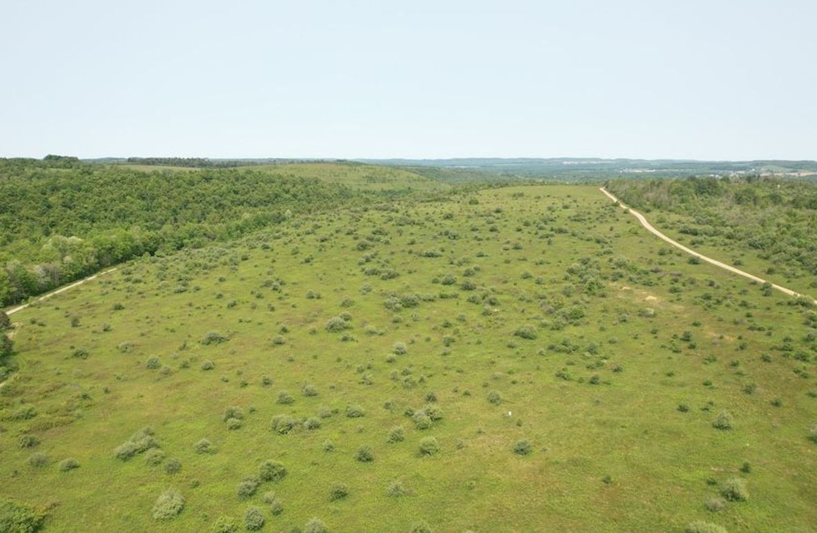 dji_fly_20250602_111402_267_1748877842603_photo