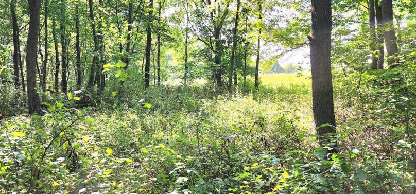 382334150_1369465823951937_8859239193480726867_n