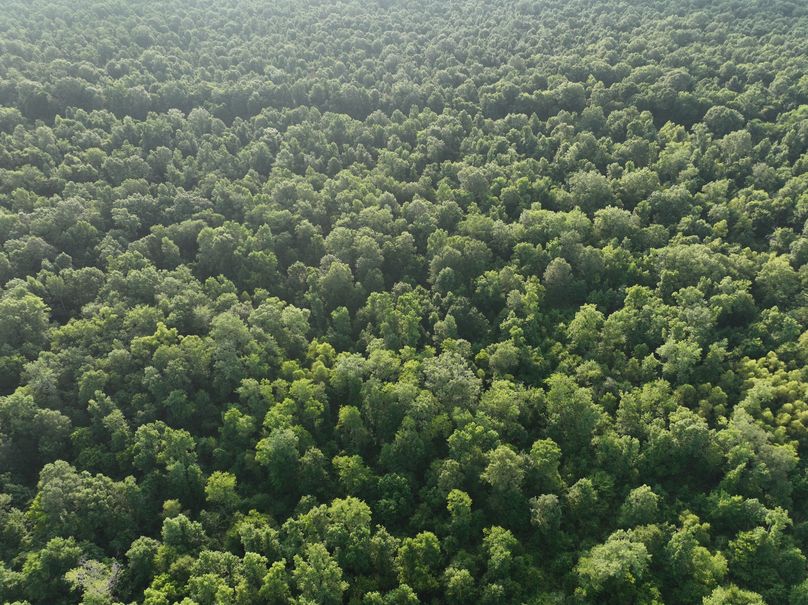 dji_fly_20230630_080830_199_1688137749724_photo