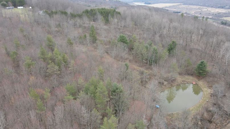 25 DJI_0971