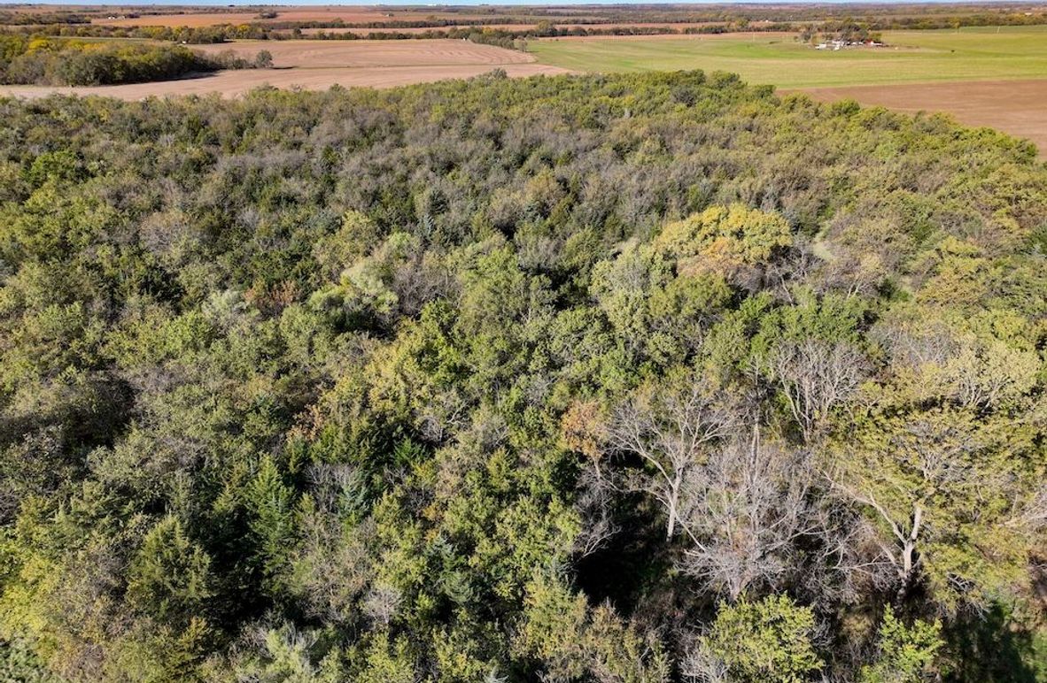 Dickinson Co, 154.5_005