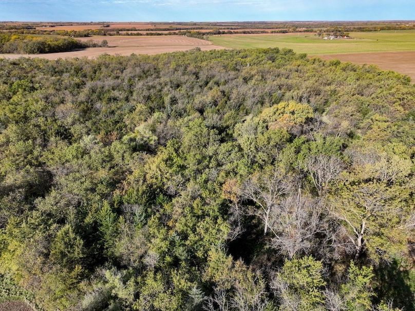 Dickinson Co, 154.5_005