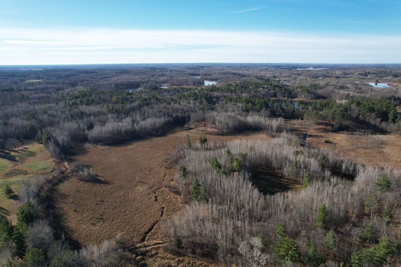 dji_fly_20231113_100722_285_1699892016420_photo