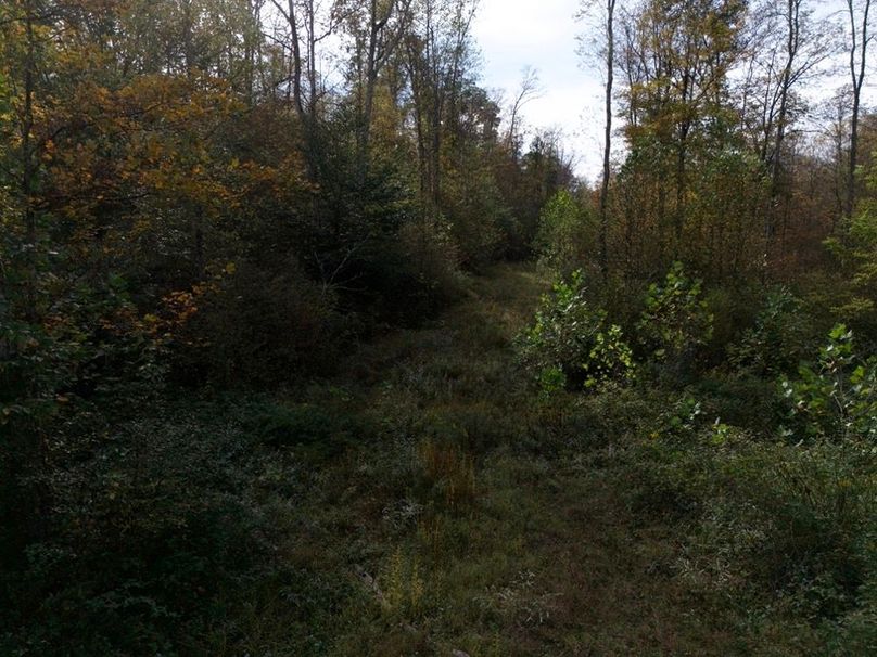 DJI_20250930144843_0011_D