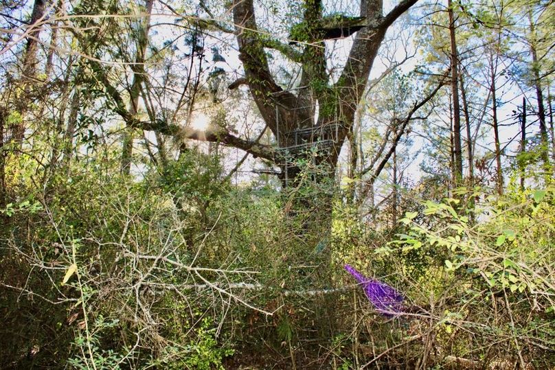 BE4D9D01-9B3E-4431-BB73-F9785589B2EC_1_201_a-2